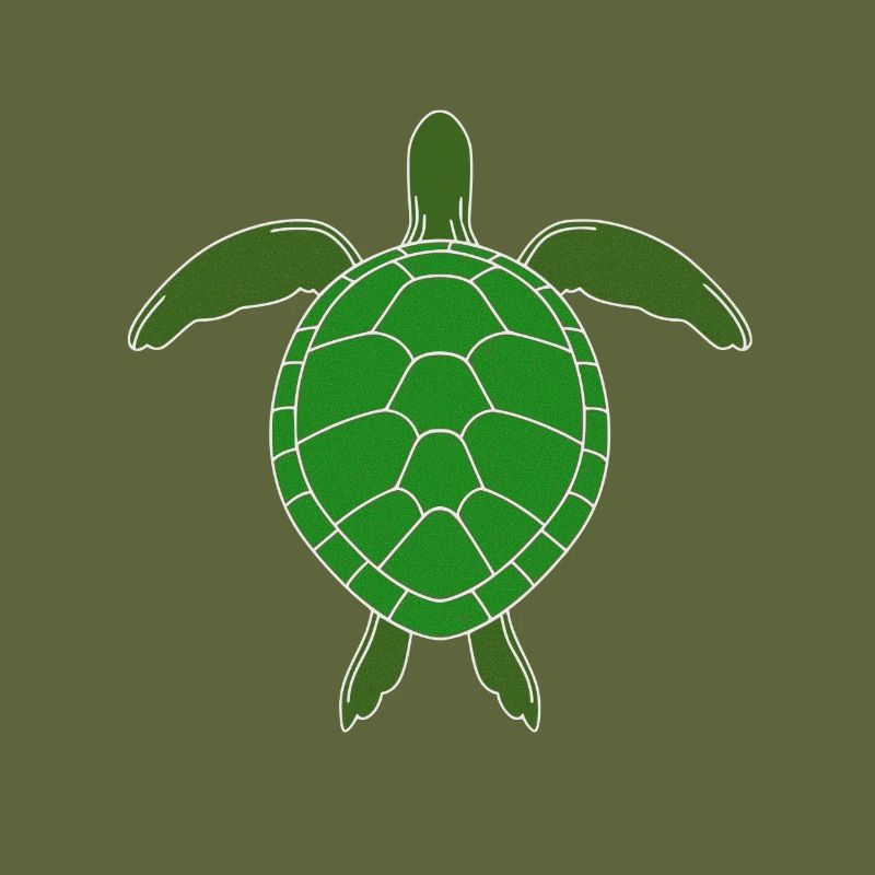 turtle