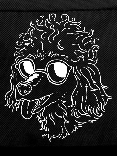 Funny poodle with sunglasses