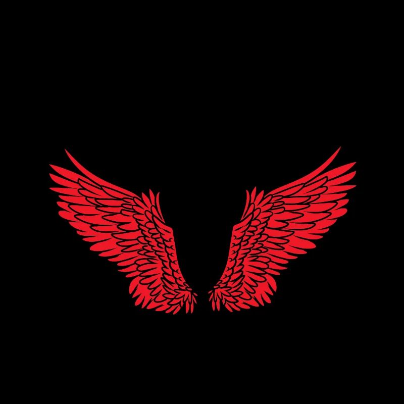 Ailes Ailes d’ange Ange céleste Satan Diable