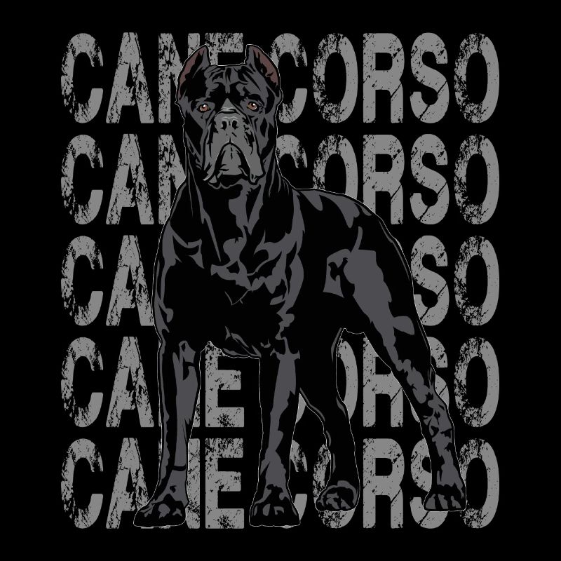 Cane Corso Molosser Mastiff Italien