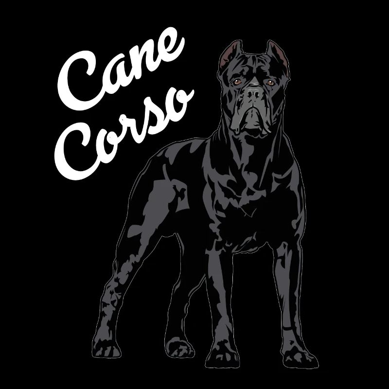 Cane Corso Molosser Mastiff Italien