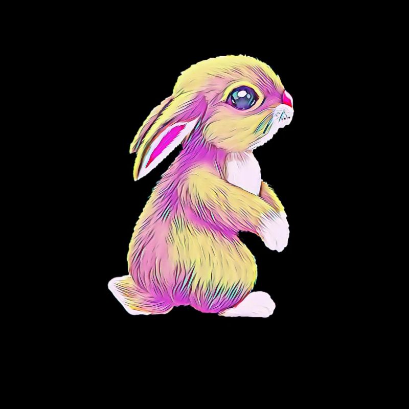 Lapins