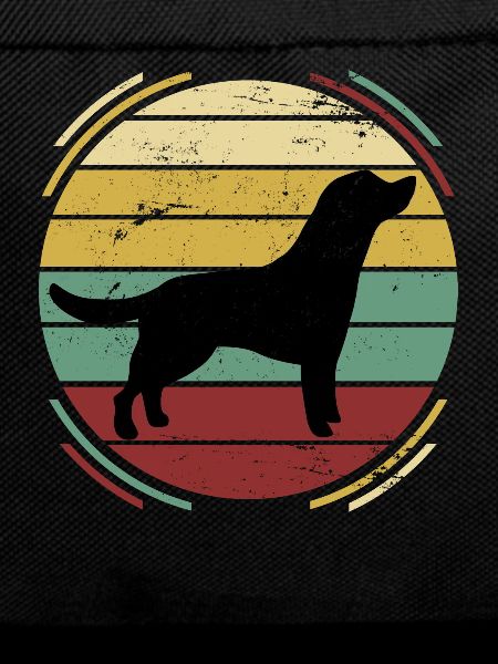 Labrador dog