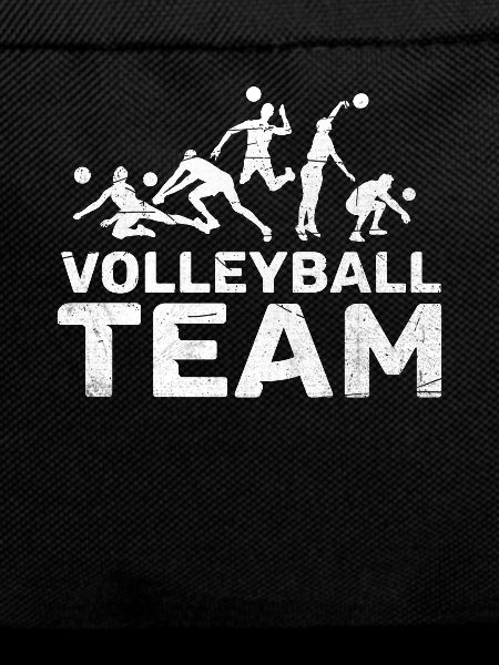 Volleyball team