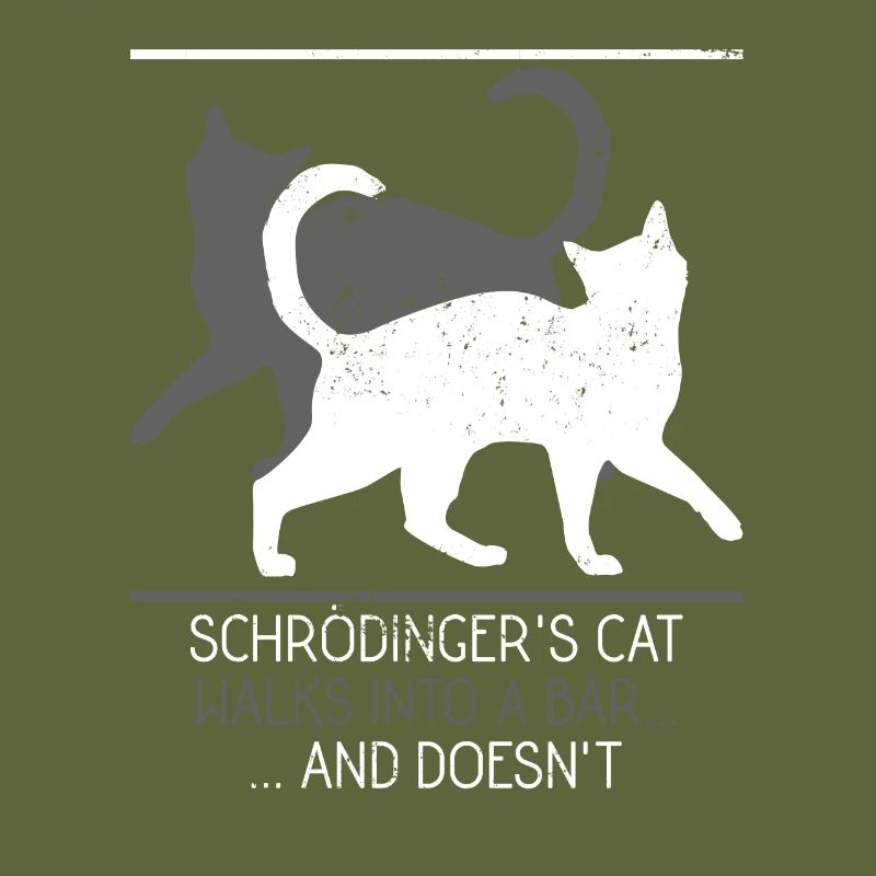 Chat de physique