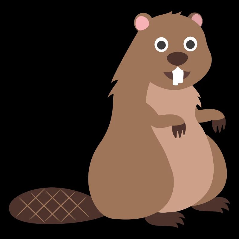 Beaver