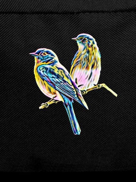 Birds