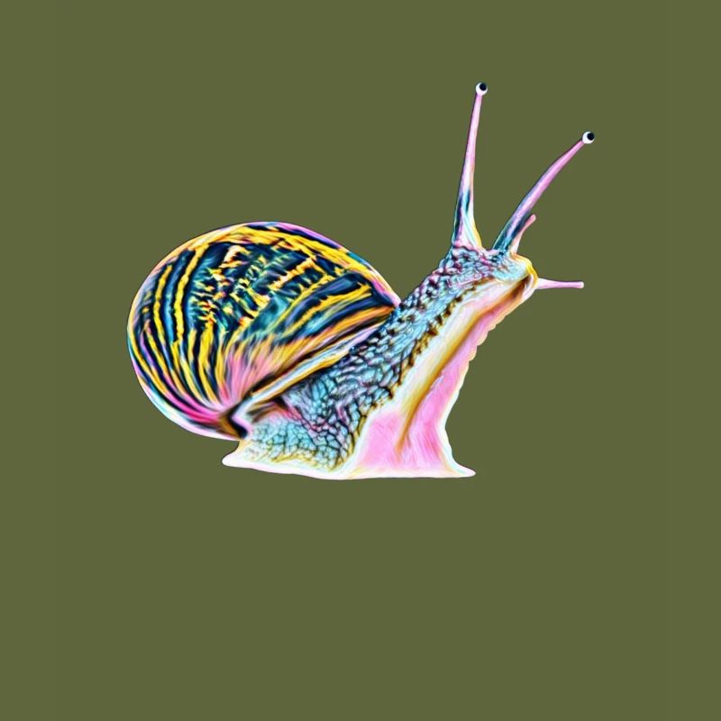 slug