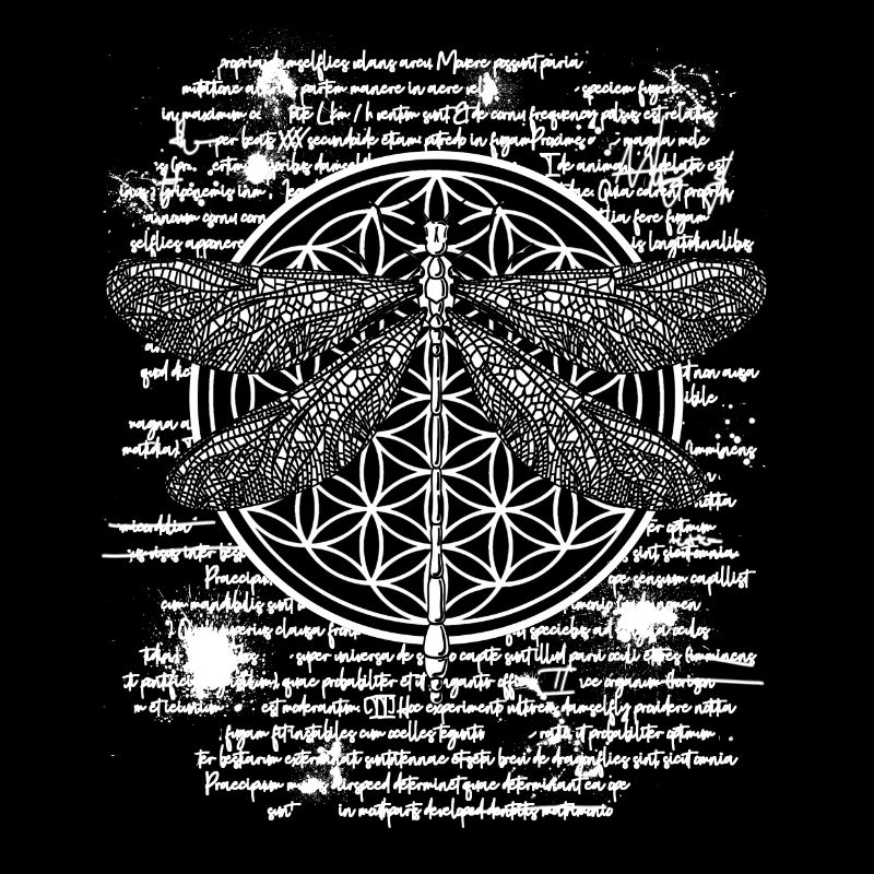 Libellule occulte Leonardo Da Vinci livre dessin