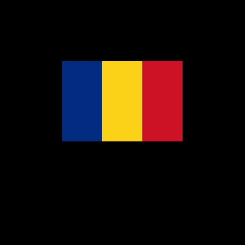 Roumanie drapeau roumain drapeau