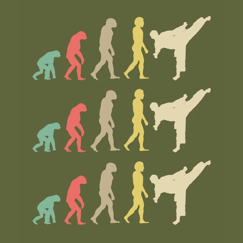 Karate Evolution - Taekwondo