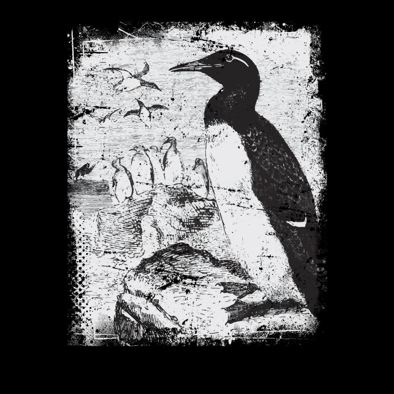 Pinguin Antarktis
