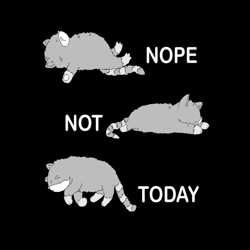 Nope Not Today Cats Sleeping Lazy Cat