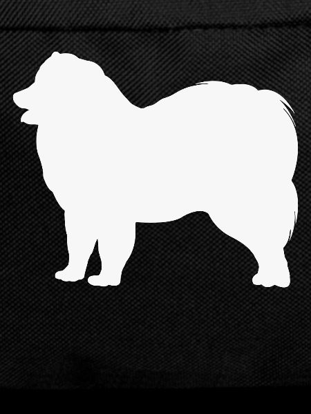 Samoyed