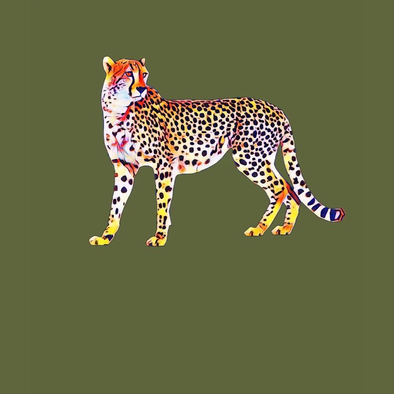 guépard