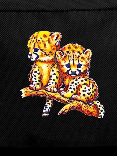 Cheetahs
