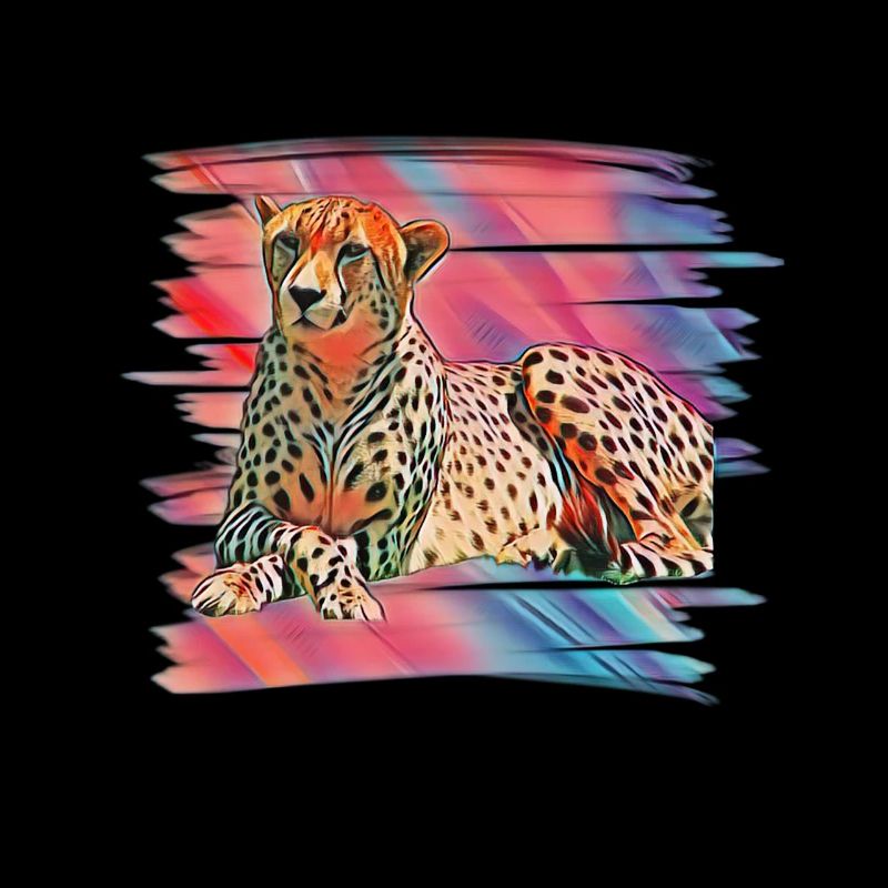 guépard