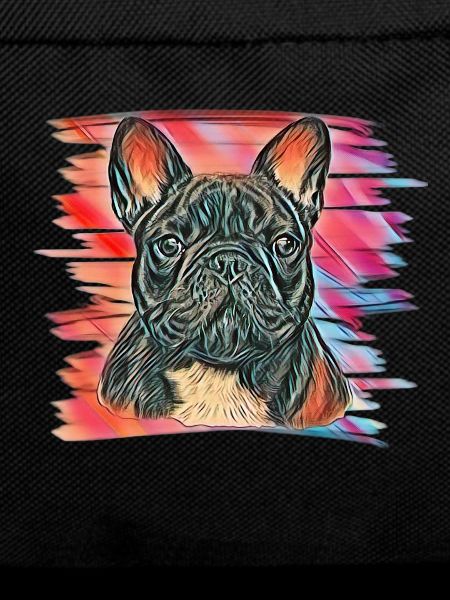 French bulldog
