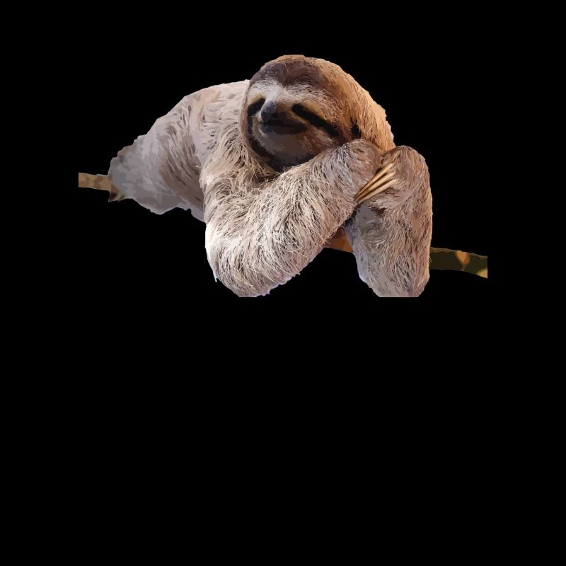 Faultier Sloth Geschenk Idee