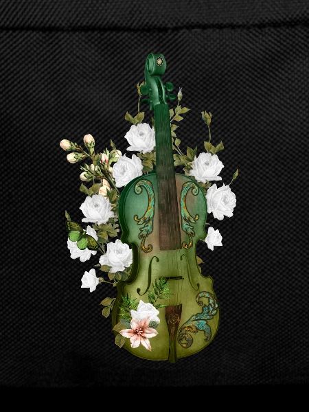 Wonderful violin