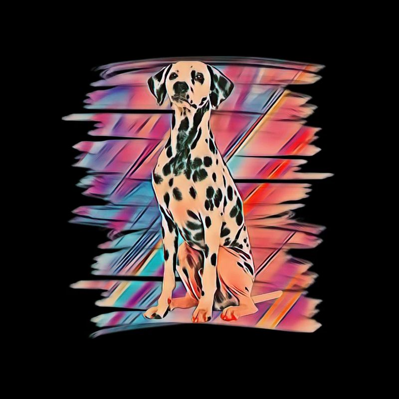Dalmatian