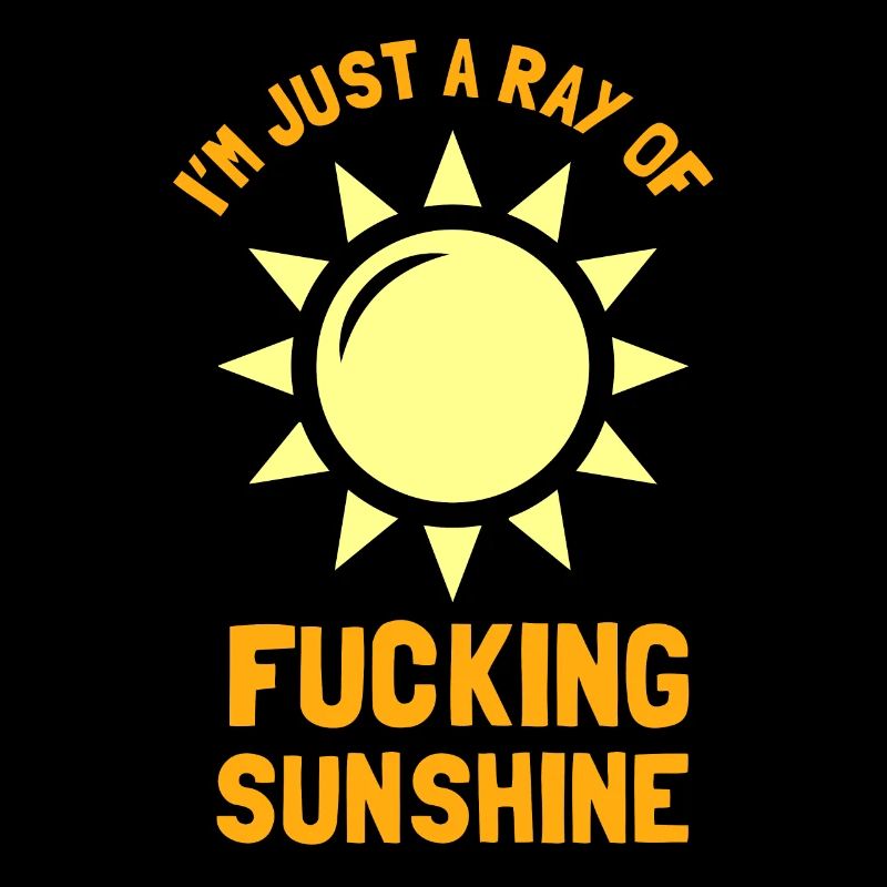 Sarcastic Sunbeam Gift