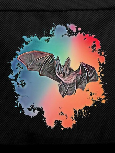 Fledermaus