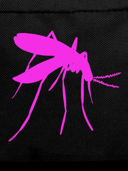 Mosquito bloodsucker insect insect bite