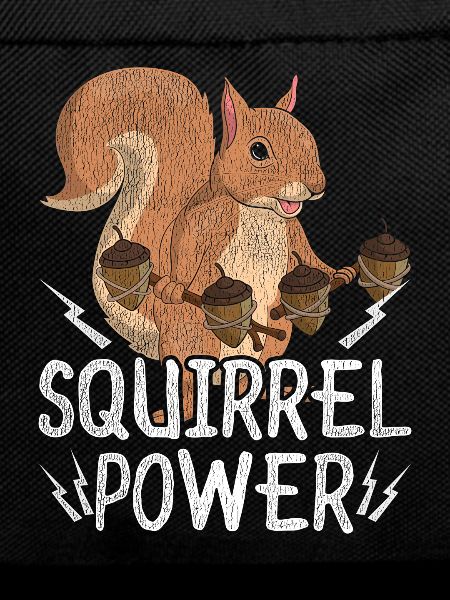 Squirrel cute animal