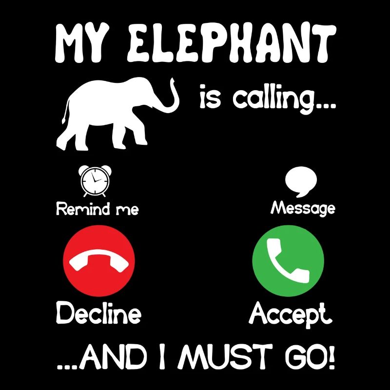 Éléphant que mon éléphant appelle