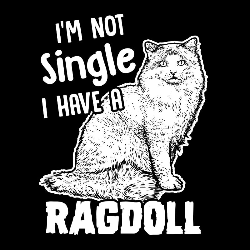 Ich bin nicht Single Ich habe eine Ragdoll