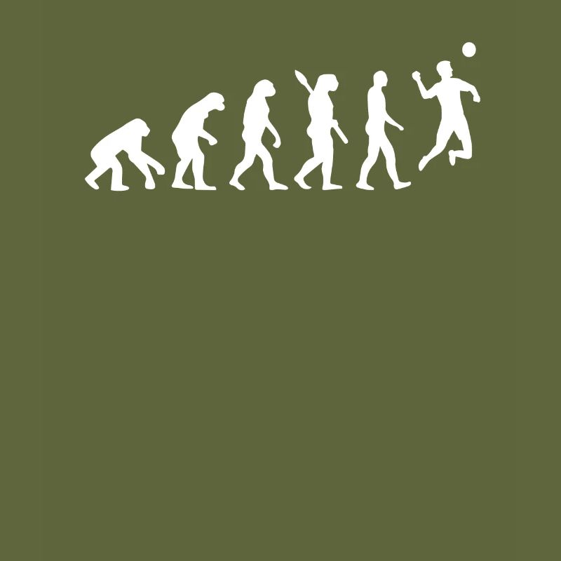 Évolution du Fistball