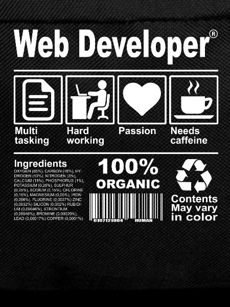 Web Developer
