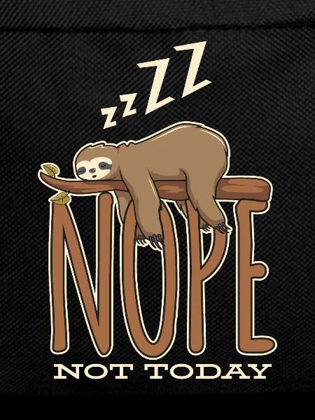 Sloth baby