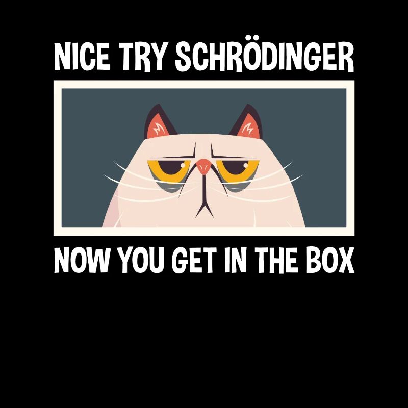 Netter Versuch Schrödinger Physik Physiker