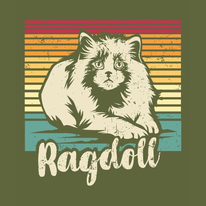 Ragdoll Cat