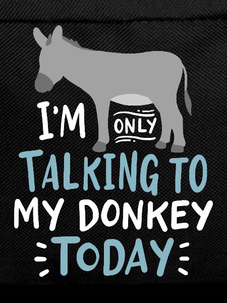 Donkey