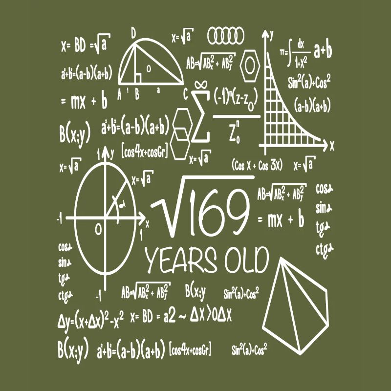 13th birthday 13 years math math student
