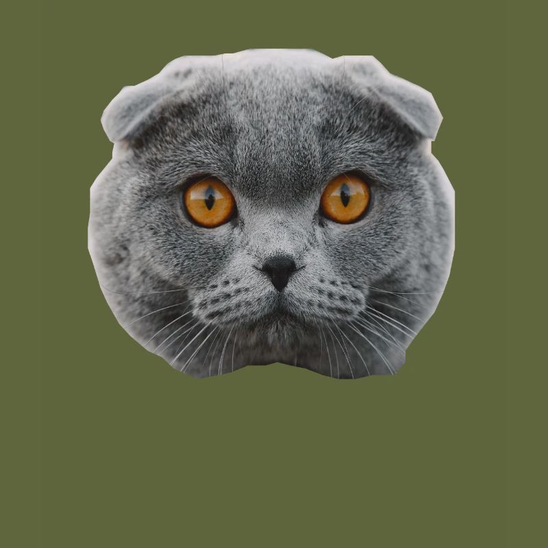 chat