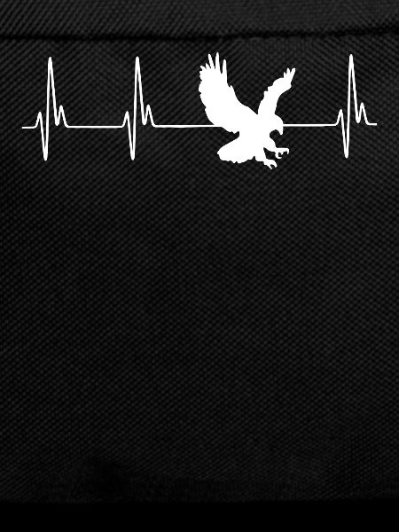 Hawk ECG