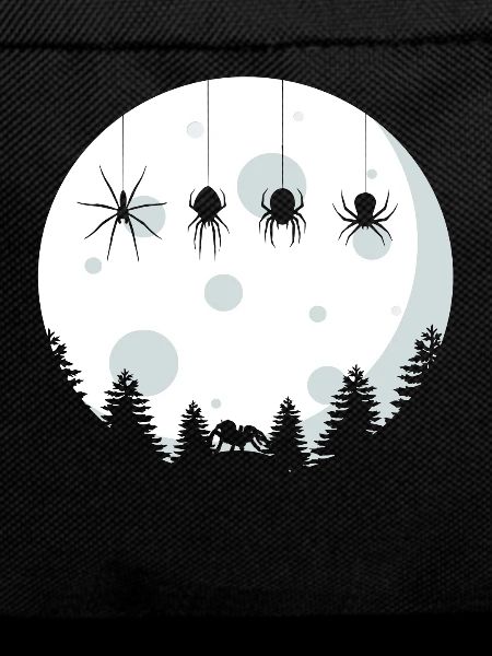 Spiders
