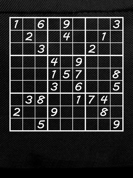 Sudoku Number Puzzle