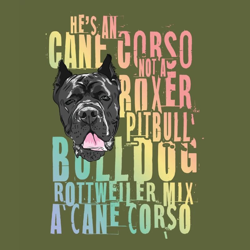 Cane Corso for a Cane Corso owner Cane