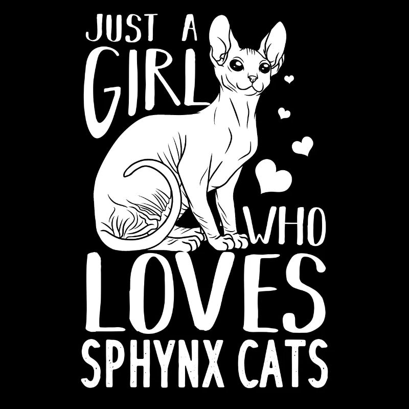 Sphynx chat chat égyptien propriétaire