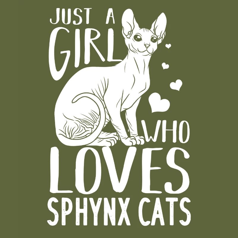 Sphynx chat chat égyptien propriétaire