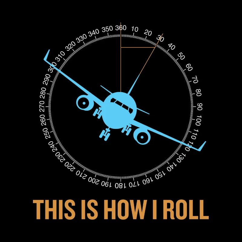 This Is How I Roll Airplane