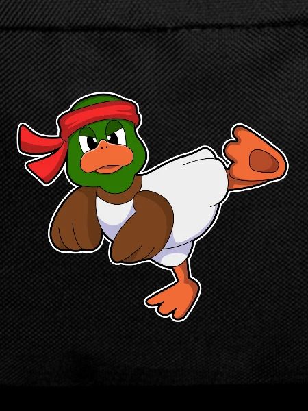 Ente Karate Kampfsport