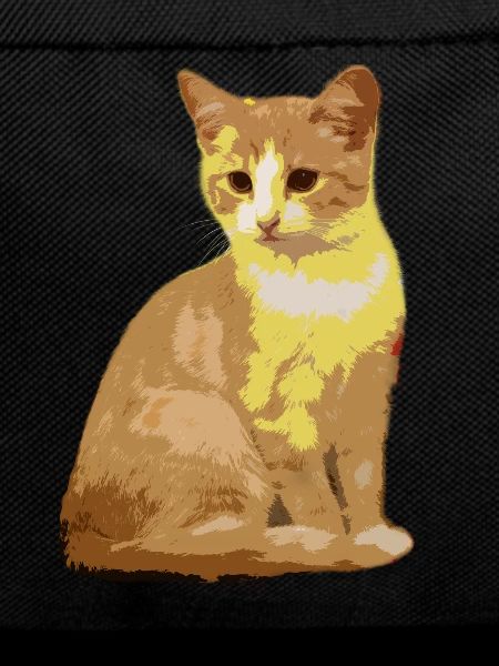 Chat Chat