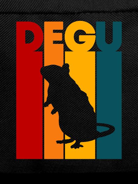 Degu Geschenk