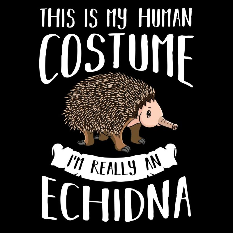 Echidna Ant Hedgehog Funny Hedgehog